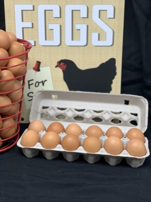 Brown Eggs - Non-Sorted (Various Sizes)