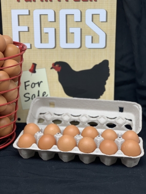 Brown Eggs - Large